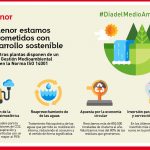 Infografía del día del medio ambiente