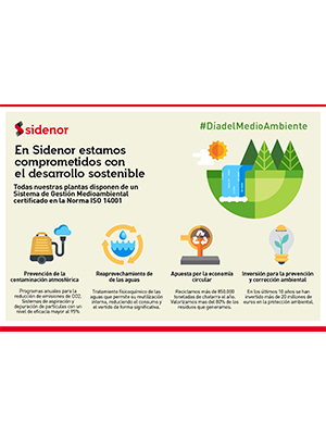 Infografia del día del medio ambiente